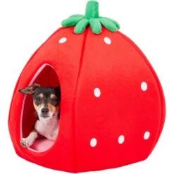YML Strawberry Covered Cat & Dog Bed -Blue Buffalo || ROYAL CANIN || Wellness Sales 138280 PT4. AC SS1800 V1566337660