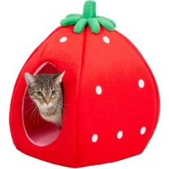 YML Strawberry Covered Cat & Dog Bed -Blue Buffalo || ROYAL CANIN || Wellness Sales 138280 PT5. AC SS1800 V1566337727