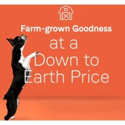 CANIDAE Under The Sun Grain-Free Lamb Recipe Adult Dry Dog Food -Blue Buffalo || ROYAL CANIN || Wellness Sales 138974 PT4. AC SS1800 V1661192778