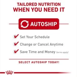 Royal Canin Breed Health Nutrition Great Dane Adult Dry Dog Food 13 Royal Canin Breed Health Nutrition Great Dane Adult Dry Dog Food -Blue Buffalo || ROYAL CANIN || Wellness Sales 138980 PT4. AC SS1800 V1695220038