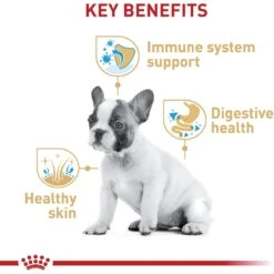 Royal Canin Breed Health Nutrition French Bulldog Puppy Dry Dog Food -Blue Buffalo || ROYAL CANIN || Wellness Sales 138982 PT4. AC SS1800 V1697212854