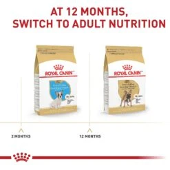Royal Canin Breed Health Nutrition French Bulldog Puppy Dry Dog Food -Blue Buffalo || ROYAL CANIN || Wellness Sales 138982 PT6. AC SS1800 V1697213498