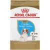Royal Canin Breed Health Nutrition Cavalier King Charles Puppy Dry Dog Food -Blue Buffalo || ROYAL CANIN || Wellness Sales 138986 MAIN. AC SS1800 V1699373336