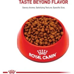 Royal Canin Breed Health Nutrition Cavalier King Charles Puppy Dry Dog Food -Blue Buffalo || ROYAL CANIN || Wellness Sales 138986 PT1. AC SS1800 V1699373336