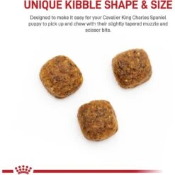Royal Canin Breed Health Nutrition Cavalier King Charles Puppy Dry Dog Food -Blue Buffalo || ROYAL CANIN || Wellness Sales 138986 PT3. AC SS1800 V1700161978