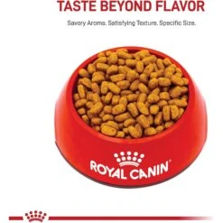 Royal Canin Breed Health Nutrition Maltese Adult Dry Dog Food -Blue Buffalo || ROYAL CANIN || Wellness Sales 138995 PT1. AC SS1800 V1695217692