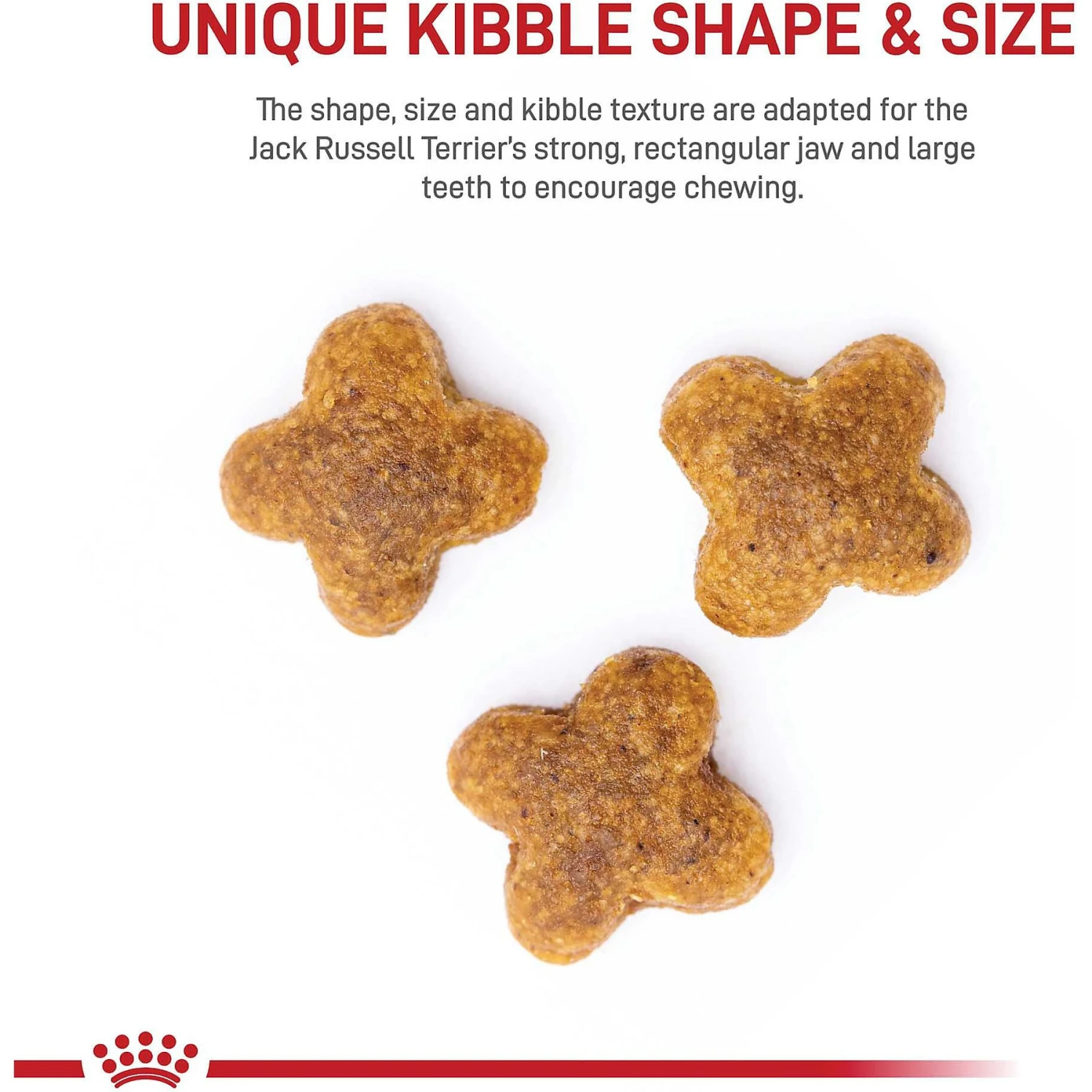 Royal Canin Breed Health Nutrition Jack Russell Terrier Adult Dry Dog Food 6 Royal Canin Breed Health Nutrition Jack Russell Terrier Adult Dry Dog Food - Image 4