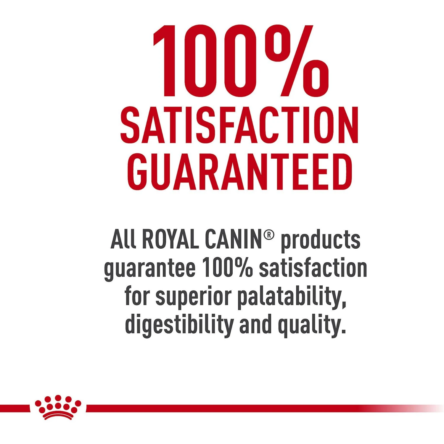 Royal Canin Breed Health Nutrition Jack Russell Terrier Adult Dry Dog Food 10 Royal Canin Breed Health Nutrition Jack Russell Terrier Adult Dry Dog Food - Image 8