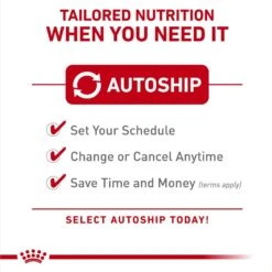 Royal Canin Breed Health Nutrition Dalmatian Adult Dry Dog Food -Blue Buffalo || ROYAL CANIN || Wellness Sales 139002 PT4. AC SS1800 V1695219983