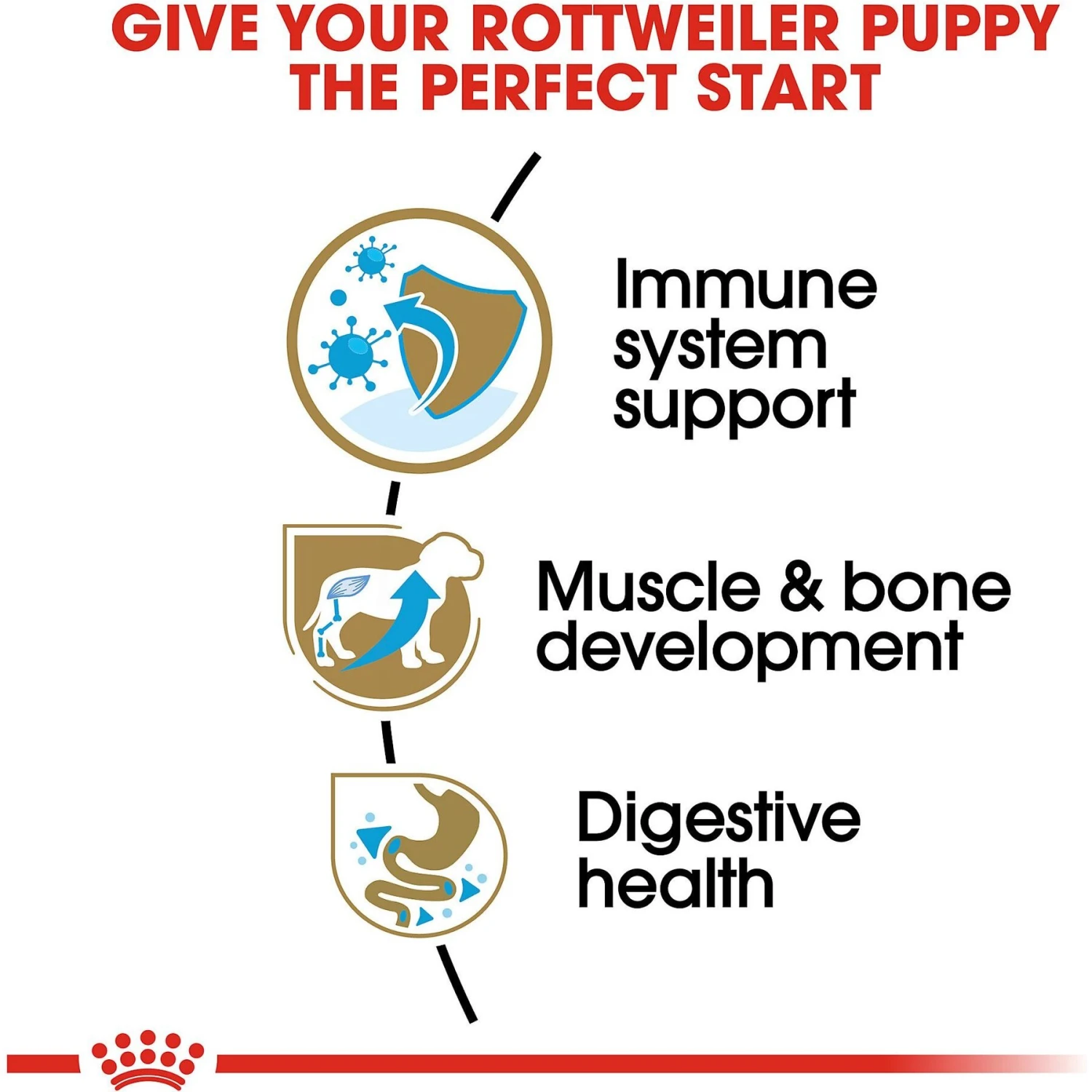 Royal Canin Breed Health Nutrition Rottweiler Puppy Dry Dog Food 7 Royal Canin Breed Health Nutrition Rottweiler Puppy Dry Dog Food - Image 5