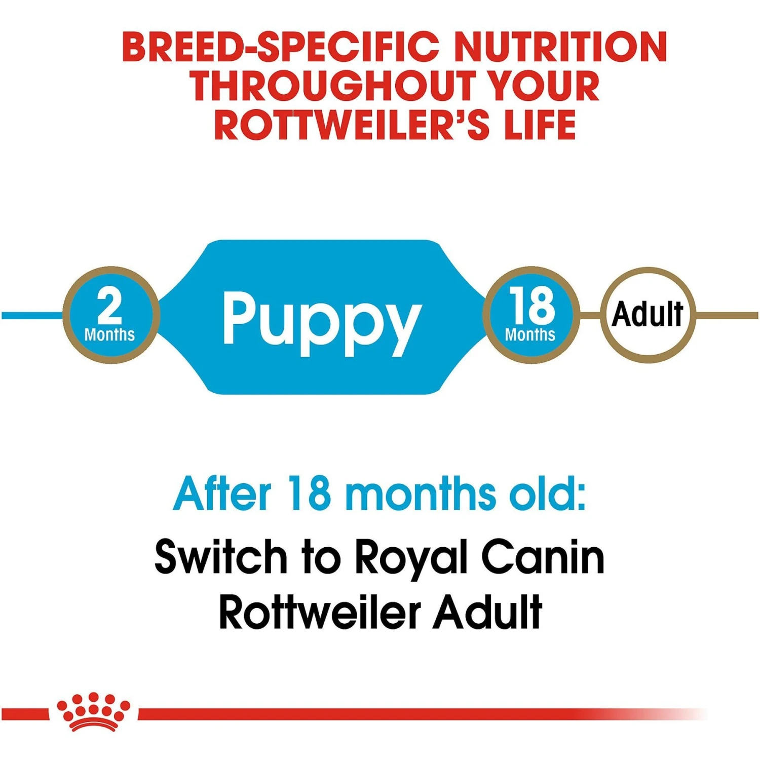 Royal Canin Breed Health Nutrition Rottweiler Puppy Dry Dog Food 9 Royal Canin Breed Health Nutrition Rottweiler Puppy Dry Dog Food - Image 7