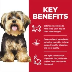 Hill's Science Diet Adult Small Paws Chicken & Vegetables & Beef & Vegetables Variety Pack Wet Dog Food Trays -Blue Buffalo || ROYAL CANIN || Wellness Sales 140080 PT4. AC SS1800 V1692734526