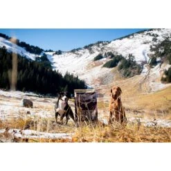 PetKind Tripe Dry Grain-Free Red Meat & Green Tripe Formula Dry Dog Food -Blue Buffalo || ROYAL CANIN || Wellness Sales 140116 PT7. AC SS1800 V1532987519