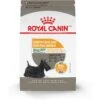 Royal Canin Canine Care Nutrition Small Sensitive Skin Care Dry Dog Food, 3-lb Bag 1 Royal Canin Canine Care Nutrition Small Sensitive Skin Care Dry Dog Food, 3-lb Bag -Blue Buffalo || ROYAL CANIN || Wellness Sales 140500 MAIN. AC SS1800 V1697139231