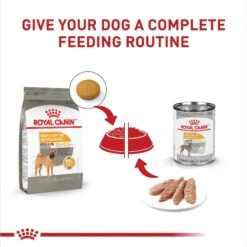 Royal Canin Canine Care Nutrition Medium Sensitive Skin Care Dry Dog Food 16 Royal Canin Canine Care Nutrition Medium Sensitive Skin Care Dry Dog Food -Blue Buffalo || ROYAL CANIN || Wellness Sales 140503 PT5. AC SS1800 V1697212765