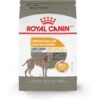 Royal Canin Canine Care Nutrition Large Sensitive Skin Care Dry Dog Food, 30-lb Bag -Blue Buffalo || ROYAL CANIN || Wellness Sales 140505 MAIN. AC SS1800 V1697139260