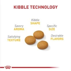 Royal Canin Canine Care Nutrition Large Sensitive Skin Care Dry Dog Food, 30-lb Bag -Blue Buffalo || ROYAL CANIN || Wellness Sales 140505 PT2. AC SS1800 V1697216693