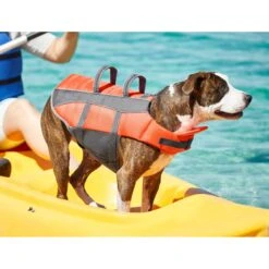 Frisco Ripstop Dog Life Jacket -Blue Buffalo || ROYAL CANIN || Wellness Sales 140919 PT7. AC SS1800 V1631051825