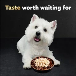 Cesar Simply Crafted Chicken Limited-Ingredient Wet Dog Food Topper -Blue Buffalo || ROYAL CANIN || Wellness Sales 141019 PT3. AC SS1800 V1695666299