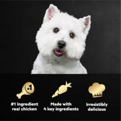 Cesar Simply Crafted Chicken, Carrots, Potatoes & Peas Limited-Ingredient Adult Wet Dog Food Topper -Blue Buffalo || ROYAL CANIN || Wellness Sales 141026 PT7. AC SS1800 V1695662252