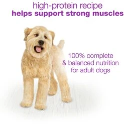 Purina Beneful Chopped Blends Variety Pack Wet Dog Food -Blue Buffalo || ROYAL CANIN || Wellness Sales 141273 PT7. AC SS1800 V1700160523