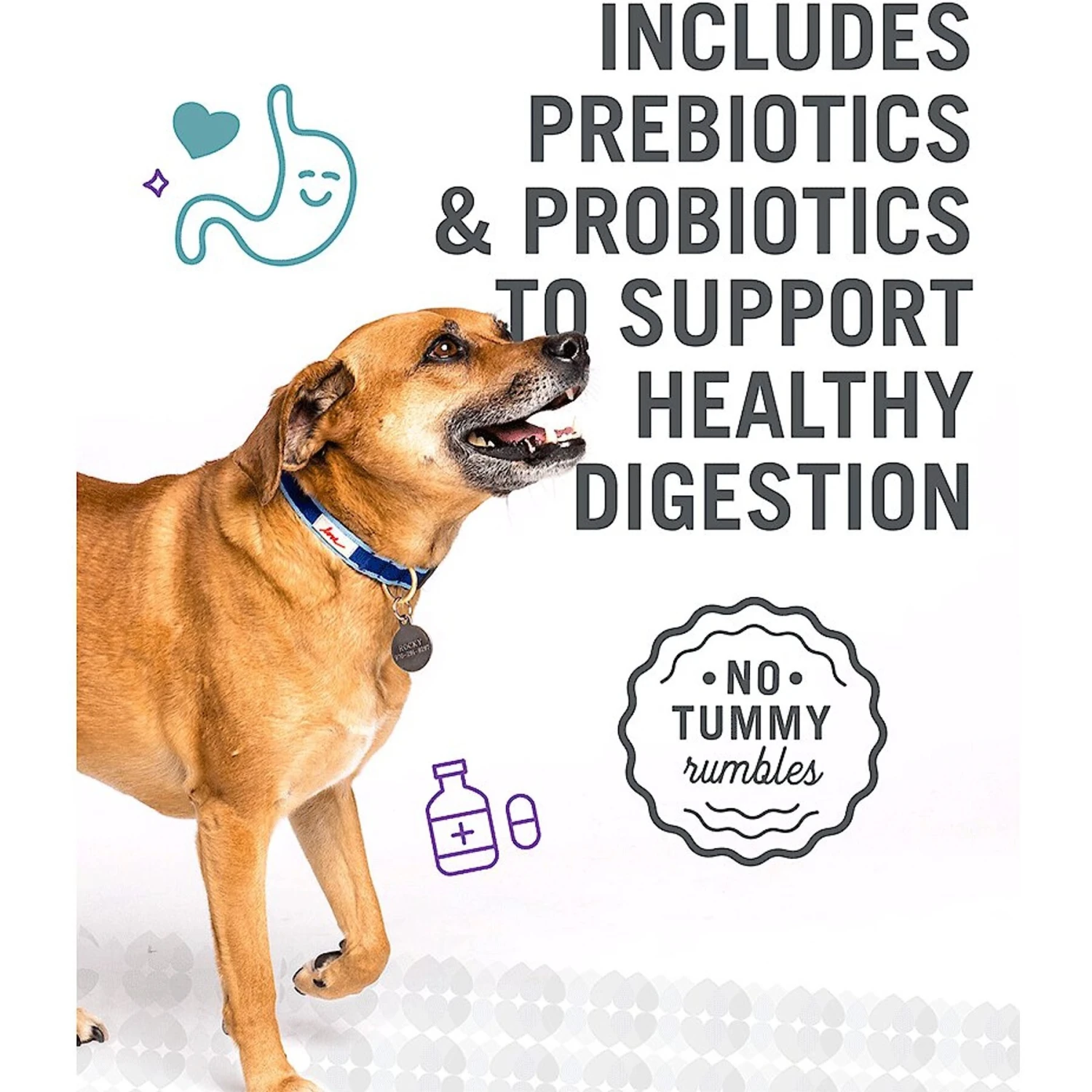 I And Love And You Lovingly Simple Limited Ingredient Diet Lamb And Sweet Potato Dry Dog Food 7 I And Love And You Lovingly Simple Limited Ingredient Diet Lamb And Sweet Potato Dry Dog Food - Image 5