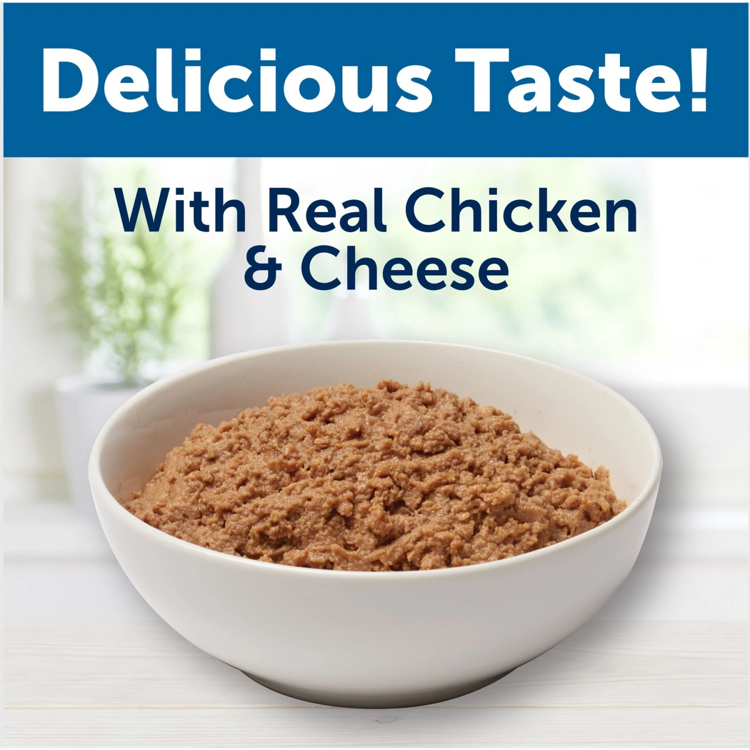 Bil-Jac Pate Platters With Chicken & Cheese Canned Dog Food 6 Bil-Jac Pate Platters With Chicken & Cheese Canned Dog Food - Image 4