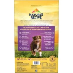 Nature's Recipe Grain-Free Lamb, Sweet Potato & Pumpkin Recipe Dry Dog Food -Blue Buffalo || ROYAL CANIN || Wellness Sales 142290 PT2. AC SS1800 V1672842507