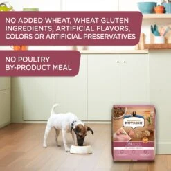 Rachael Ray Nutrish Little Bites Small Breed Real Chicken & Veggies Recipe Dry Dog Food -Blue Buffalo || ROYAL CANIN || Wellness Sales 142436 PT5. AC SS1800 V1657655543