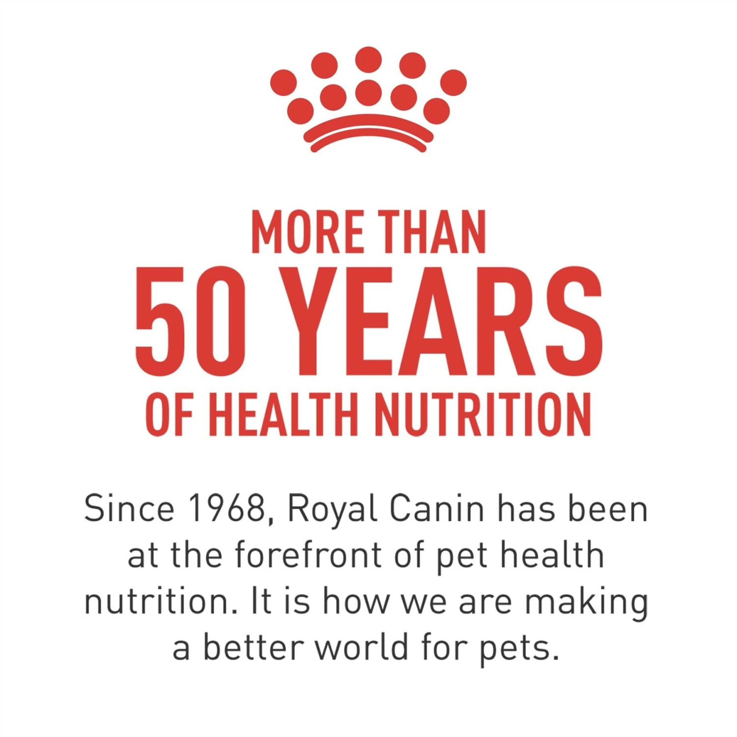 Royal Canin Breed Health Nutrition Shih Tzu Adult Loaf In Sauce Canned Dog Food 6 Royal Canin Breed Health Nutrition Shih Tzu Adult Loaf In Sauce Canned Dog Food - Image 4