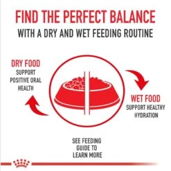 Royal Canin Breed Health Nutrition Shih Tzu Adult Loaf In Sauce Canned Dog Food 14 Royal Canin Breed Health Nutrition Shih Tzu Adult Loaf In Sauce Canned Dog Food -Blue Buffalo || ROYAL CANIN || Wellness Sales 142487 PT5. AC SS1800 V1696534944