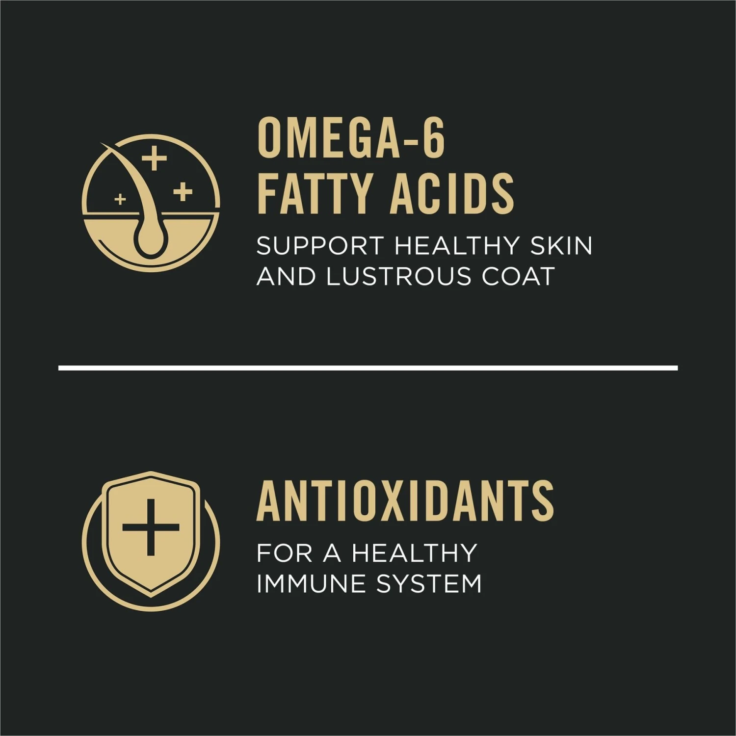 Purina Pro Plan Small Breed Adult Sensitive Skin & Stomach Formula Dry Dog Food 10 Purina Pro Plan Small Breed Adult Sensitive Skin & Stomach Formula Dry Dog Food - Image 8