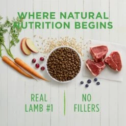 Instinct Be Natural Real Lamb & Oatmeal Recipe Freeze-Dried Raw Coated Dry Dog Food -Blue Buffalo || ROYAL CANIN || Wellness Sales 143168 PT3. AC SS1800 V1578522179