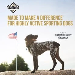 Diamond Hi-Energy Sporting Dog Formula Dry Dog Food -Blue Buffalo || ROYAL CANIN || Wellness Sales 143239 PT4. AC SS1800 V1641254218