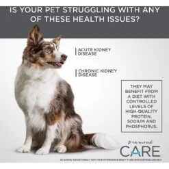 Diamond Care RX Renal Formula Adult Dry Dog Food -Blue Buffalo || ROYAL CANIN || Wellness Sales 143242 PT5. AC SS1800 V1587655592