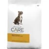 Diamond Care Sensitive Stomach Formula Adult Grain-Free Dry Dog Food -Blue Buffalo || ROYAL CANIN || Wellness Sales 143248 MAIN. AC SS1800 V1614011182