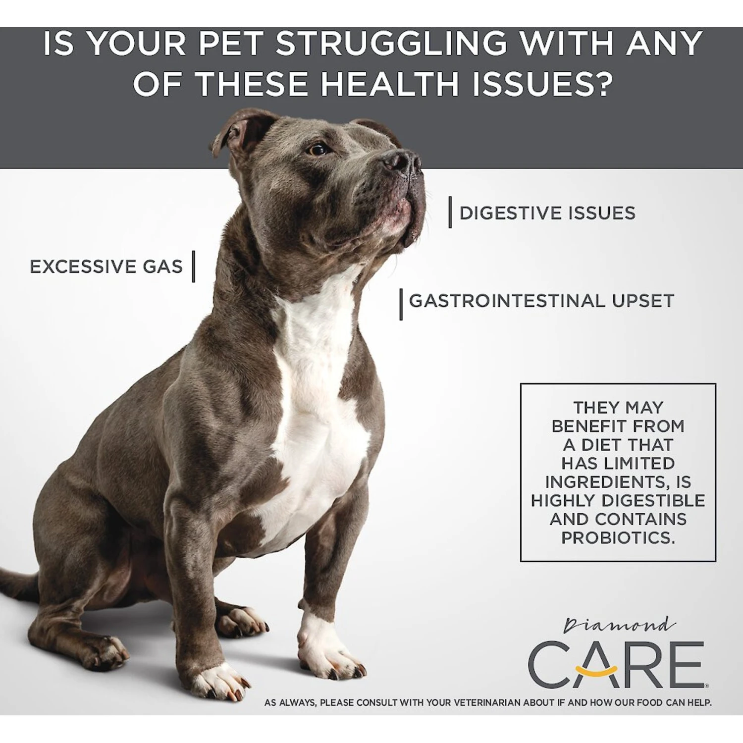 Diamond Care Sensitive Stomach Formula Adult Grain-Free Dry Dog Food 8 Diamond Care Sensitive Stomach Formula Adult Grain-Free Dry Dog Food - Image 6