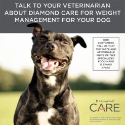 Diamond Care Weight Management Formula Adult Grain-Free Dry Dog Food -Blue Buffalo || ROYAL CANIN || Wellness Sales 143251 PT6. AC SS1800 V1587655634