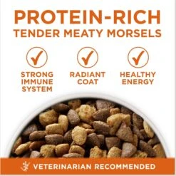 Purina ONE +Plus Adult High-Protein Healthy Weight Formula Dry Dog Food -Blue Buffalo || ROYAL CANIN || Wellness Sales 143260 PT2. AC SS1800 V1676317837