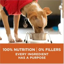 Purina ONE +Plus Adult High-Protein Healthy Weight Formula Dry Dog Food -Blue Buffalo || ROYAL CANIN || Wellness Sales 143260 PT7. AC SS1800 V1676321125