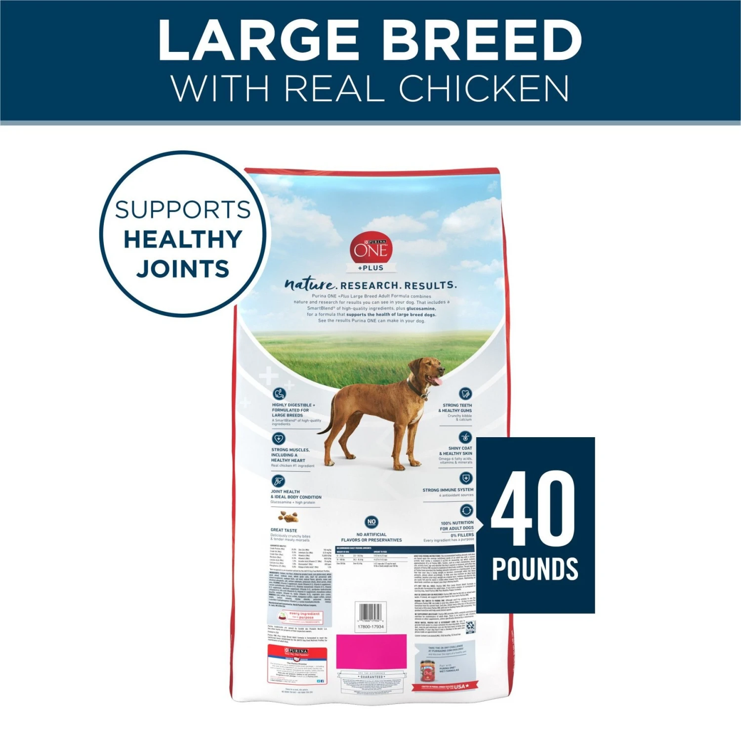 Purina ONE Natural Large Breed +Plus Formula Dry Dog Food 4 Purina ONE Natural Large Breed +Plus Formula Dry Dog Food - Image 2
