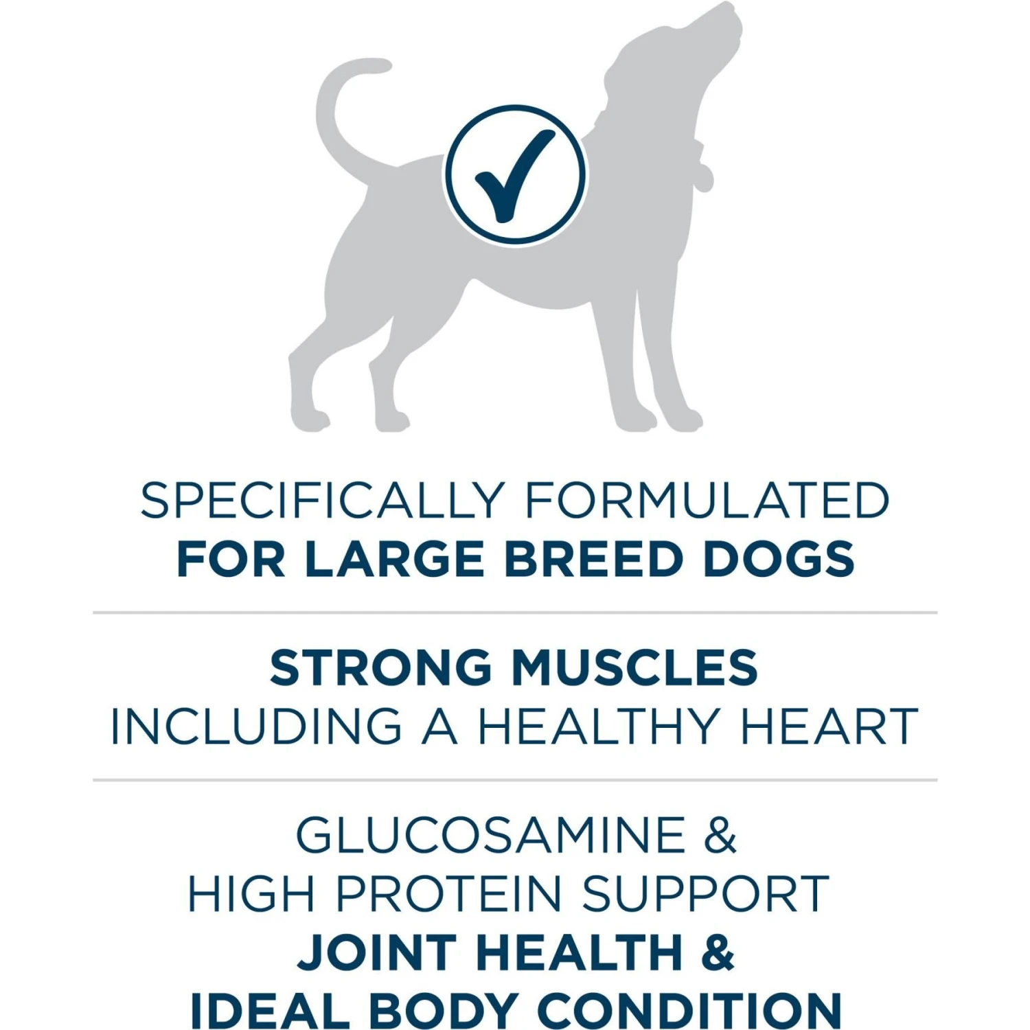 Purina ONE Natural Large Breed +Plus Formula Dry Dog Food 6 Purina ONE Natural Large Breed +Plus Formula Dry Dog Food - Image 4