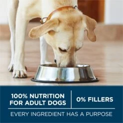 Purina ONE Natural Large Breed +Plus Formula Dry Dog Food 16 Purina ONE Natural Large Breed +Plus Formula Dry Dog Food -Blue Buffalo || ROYAL CANIN || Wellness Sales 143261 PT5. AC SS1800 V1676317831