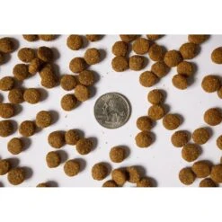 Beaverdam Pet Food Hi-Protein 27/12 Dry Dog Food -Blue Buffalo || ROYAL CANIN || Wellness Sales 143516 PT3. AC SS1800 V1520006003