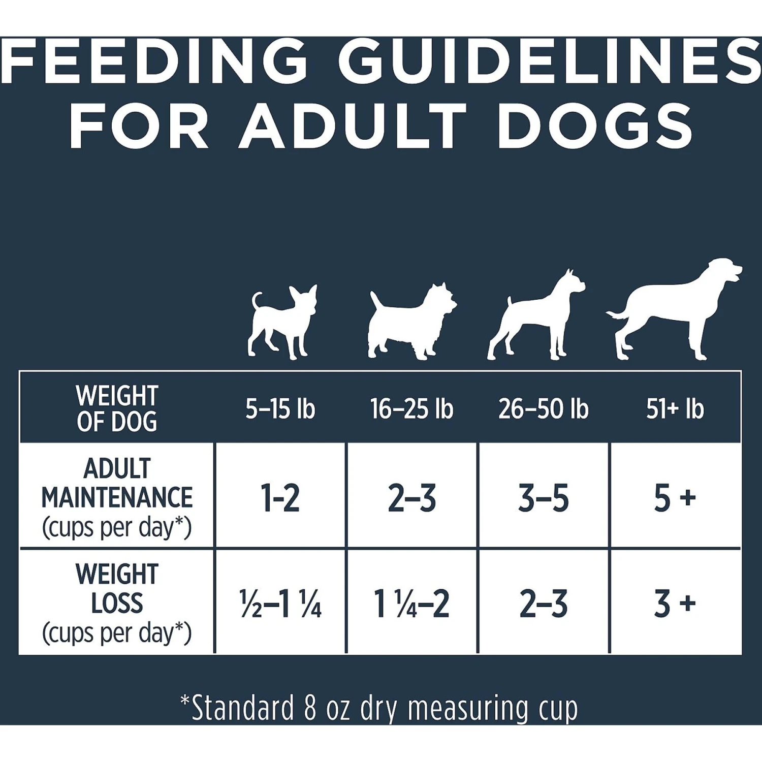 Instinct Frozen Raw Bites Grain-Free Real Beef Recipe Dog Food 11 Instinct Frozen Raw Bites Grain-Free Real Beef Recipe Dog Food - Image 9