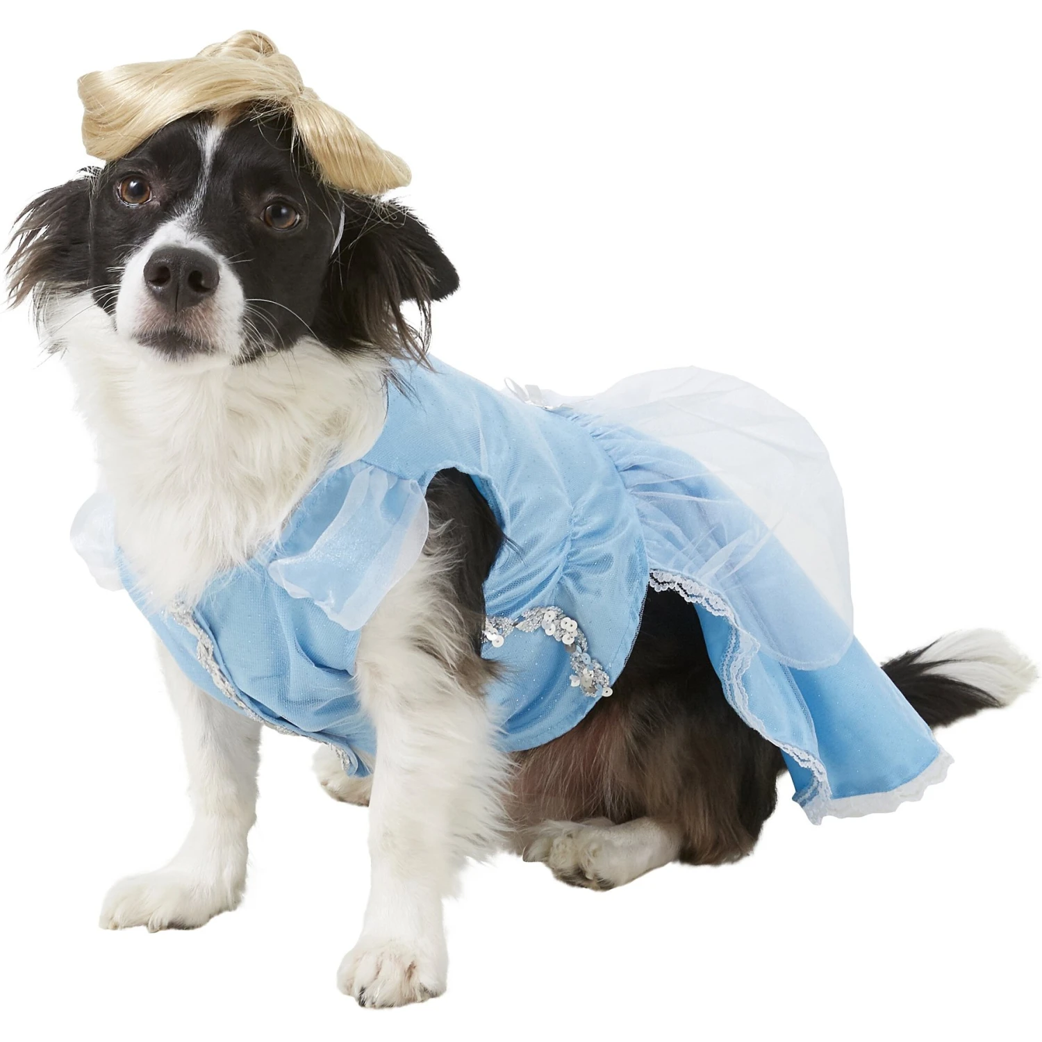 Rubie's Costume Company Cinderella Disney Princess Dog & Cat Costume 3 Rubie's Costume Company Cinderella Disney Princess Dog & Cat Costume