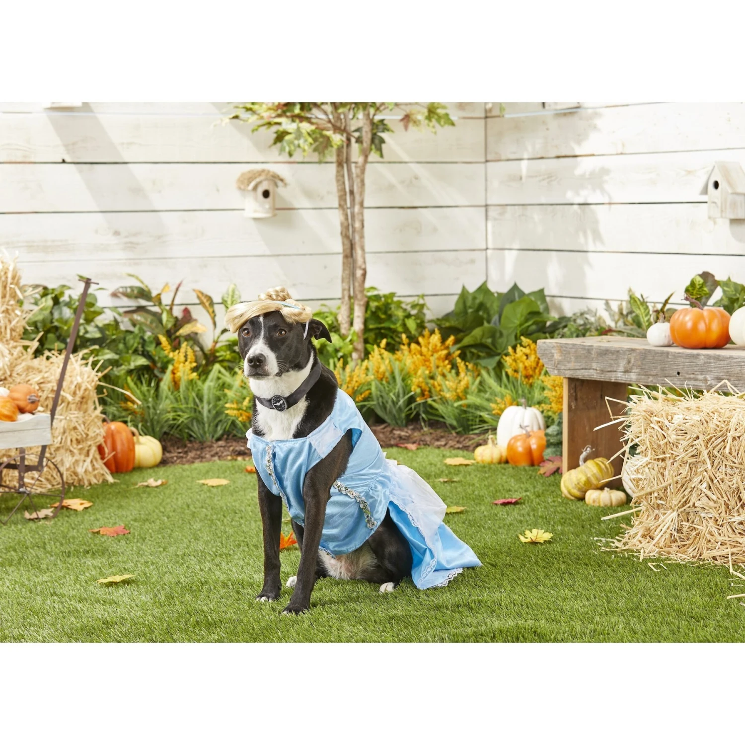 Rubie's Costume Company Cinderella Disney Princess Dog & Cat Costume 5 Rubie's Costume Company Cinderella Disney Princess Dog & Cat Costume - Image 3