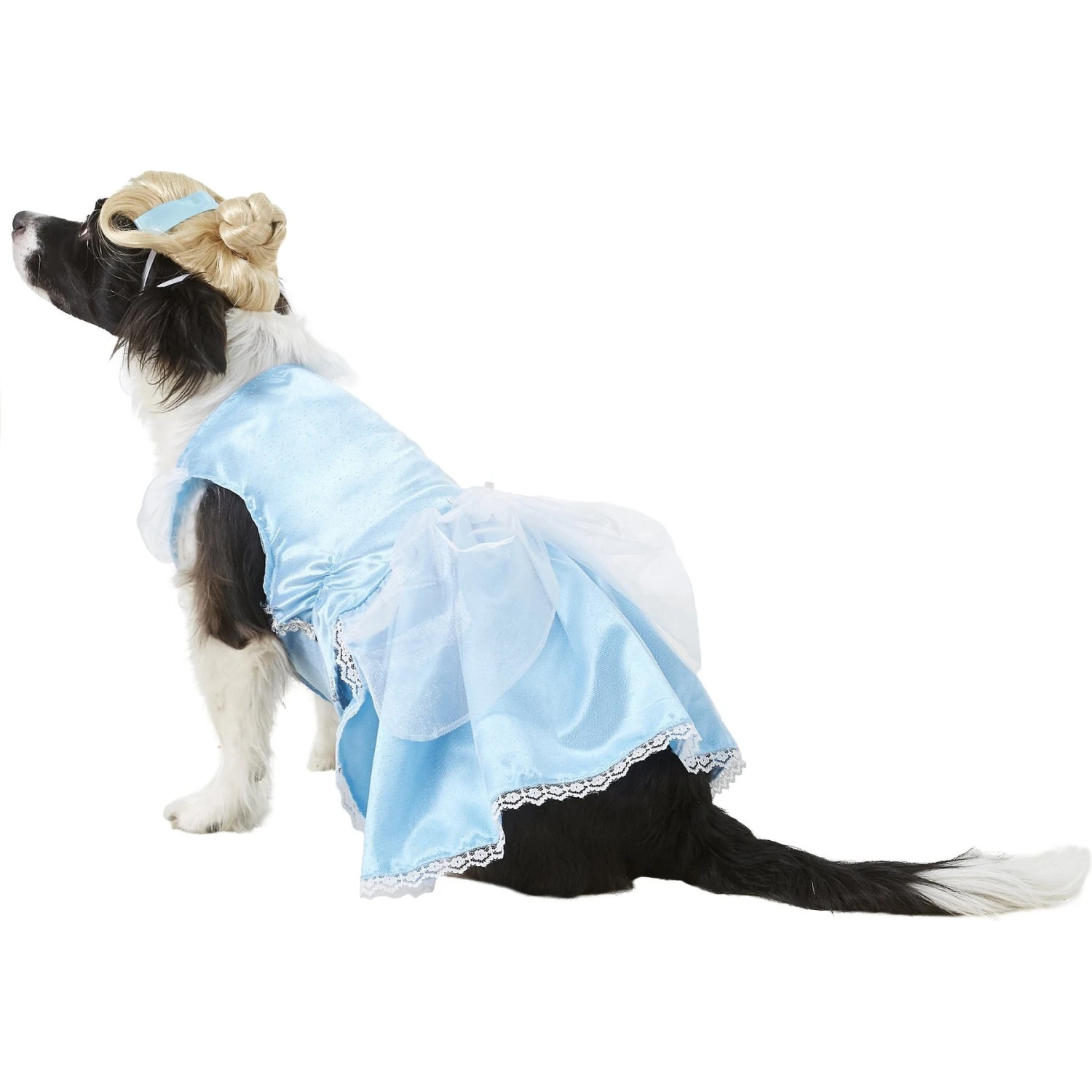 Rubie's Costume Company Cinderella Disney Princess Dog & Cat Costume 7 Rubie's Costume Company Cinderella Disney Princess Dog & Cat Costume - Image 5