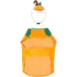 Frisco Pumpkin Dog & Cat Costume -Blue Buffalo || ROYAL CANIN || Wellness Sales 144446 PT4. AC SS1800 V1567176587