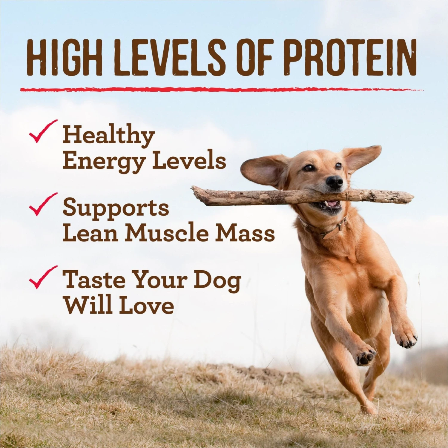 Merrick Grain-Free Wet Dog Food Cowboy Cookout 9 Merrick Grain-Free Wet Dog Food Cowboy Cookout - Image 7